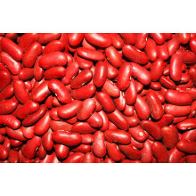 Haricot rouge de qualité supérieure (180-200 / 100G)